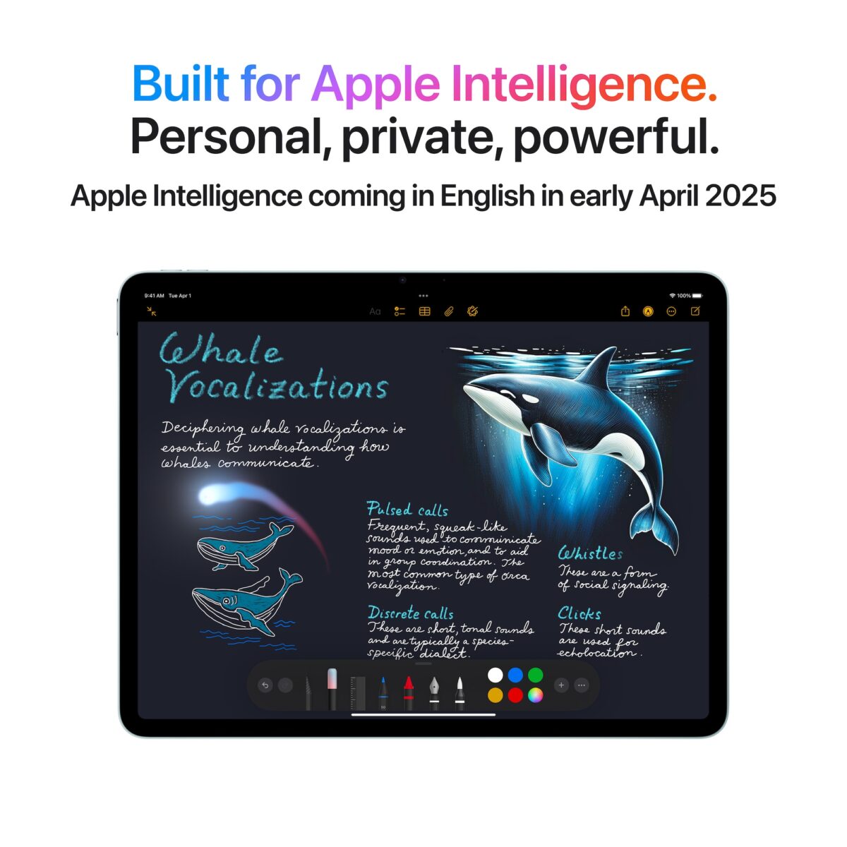 Apple-iPad-Air-13-Blue-Liquid-Retina-Apple-M3-256-GB-Wi-Fi-Bluetooth-53-iOS-Warr