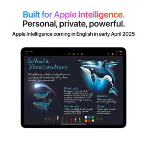 Apple-iPad-Air-13-Space-Grey-Liquid-Retina-2732-x-2048-pixels-Apple-M3-256-GB-25